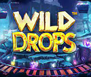 Wild Drops